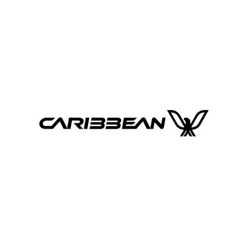 Caribbean Boats