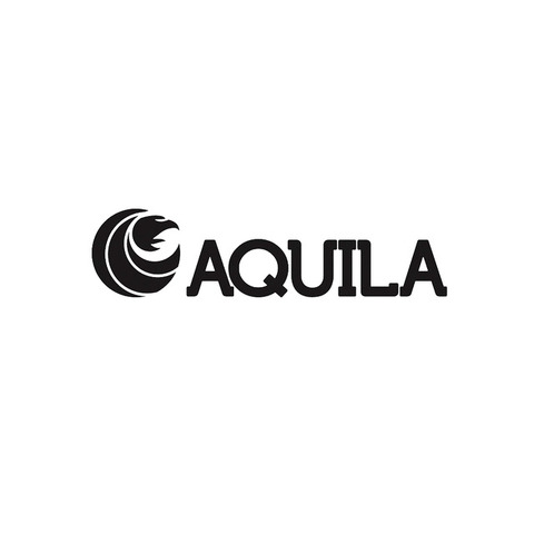 Aquila Power Catamarans