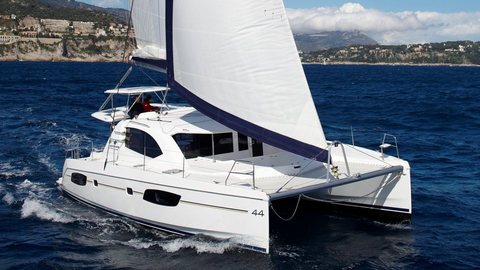 Leopard 44