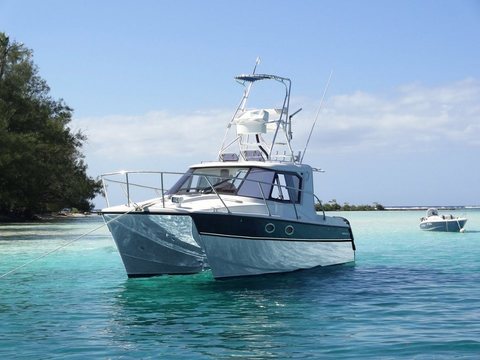 ArrowCat 30RS