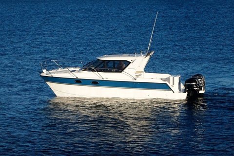 ArrowCat 32RS