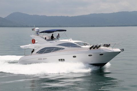 Majesty 56