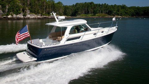 Back Cove 30