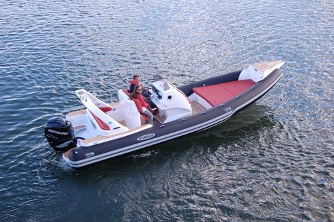 Stingher 800 GT