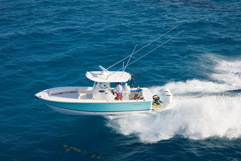 Regulator 28