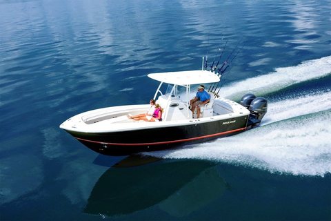 Regulator 25