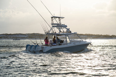 Everglades 350 LX