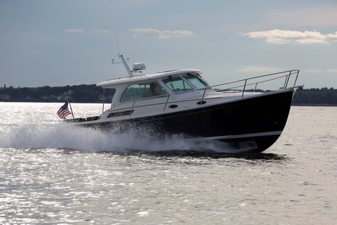 Back Cove 32