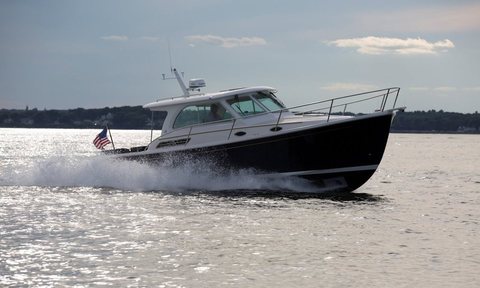 Back Cove 32