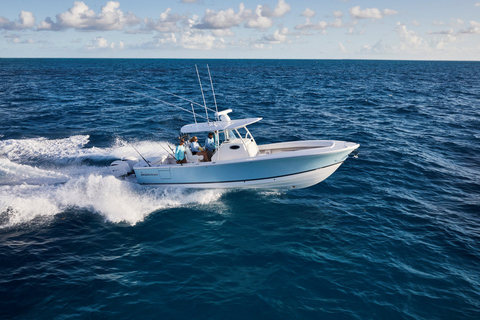 Regulator 31