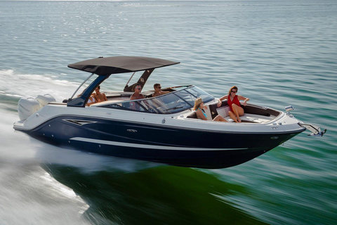 Sea Ray SLX 310 Outboard