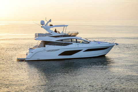 Sea Ray L550 Fly