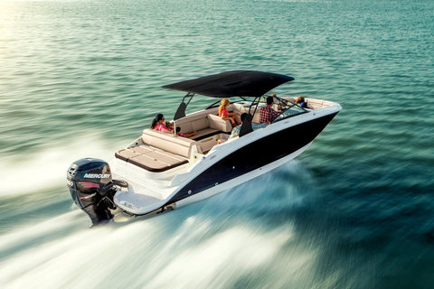 Sea Ray SDX 270 Outboard