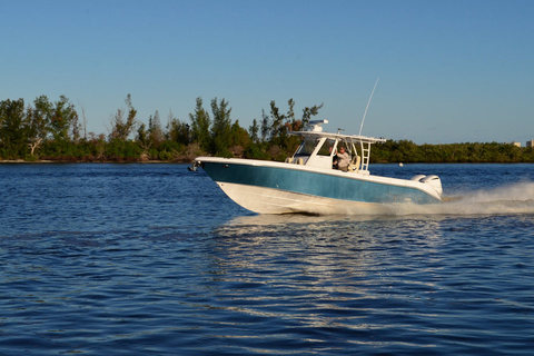 Everglades 335CC