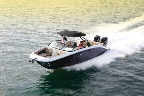 Sea Ray SDX 290 Outboard