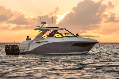 Sea Ray Sundancer 320 Outboard