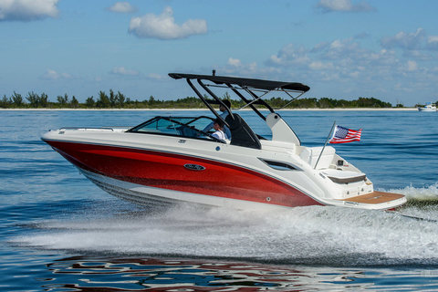 Sea Ray SDX 250