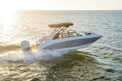 Sea Ray SDX 250 Outboard