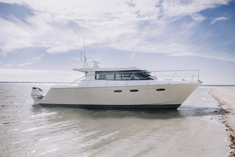 Arrowcat 420