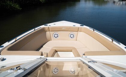 Scout 240 Dorado photo 24