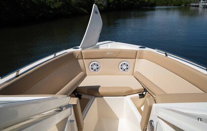 Scout 240 Dorado photo 43