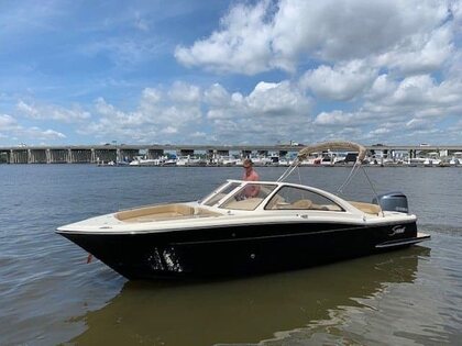 Scout 240 Dorado photo 60