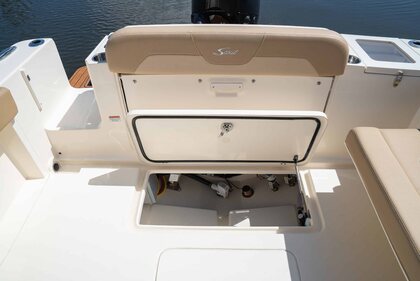 Scout 240 Dorado photo 61