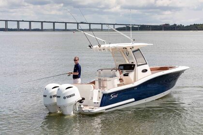 Scout 277 LXF photo 63