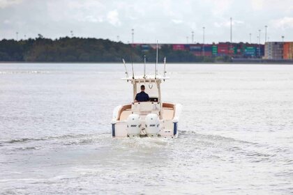 Scout 277 LXF photo 84