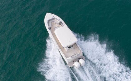Scout 305 LXF photo 39