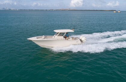 Scout 305 LXF photo 48