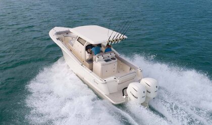 Scout 305 LXF photo 63