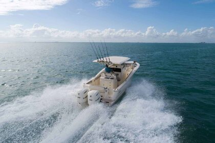 Scout 305 LXF photo 68