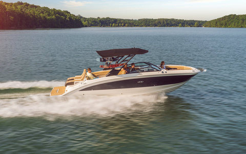 Sea Ray SDX 290