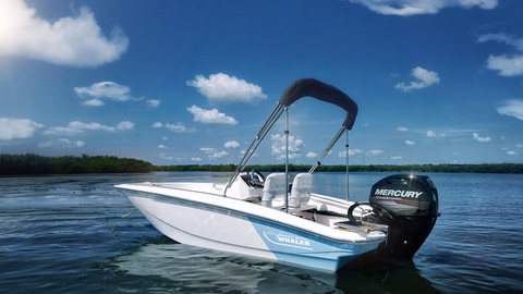 Boston Whaler 130 Super Sport