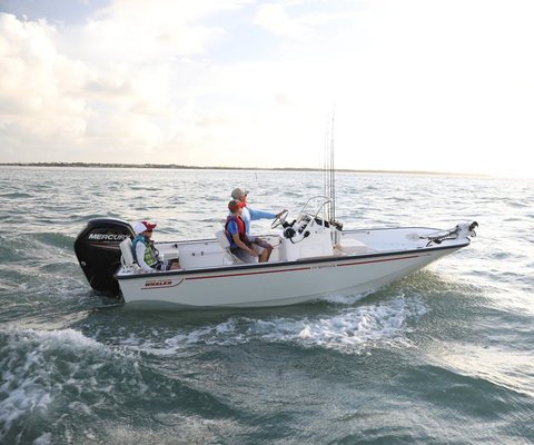 Boston Whaler 170 Montauk