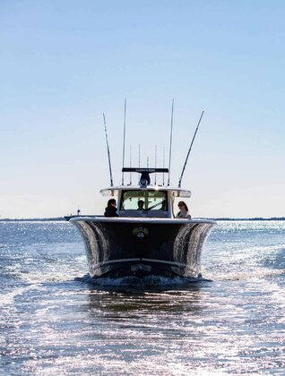 Scout 425 LXF photo 79