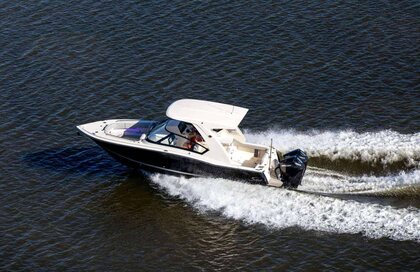 Scout 277 Dorado photo 21