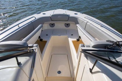 Scout 277 Dorado photo 43