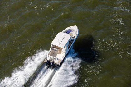 Scout 277 Dorado photo 81