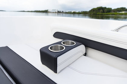 Bayliner Trophy T20CX photo 12