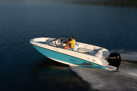Bayliner Element E21