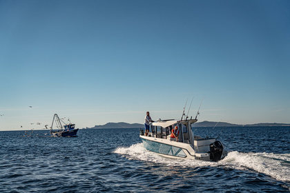 [VBS-DE] Quicksilver 805 Pilothouse photo 18