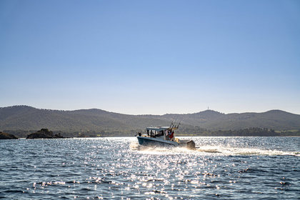 [VBS-DE] Quicksilver 805 Pilothouse photo 20