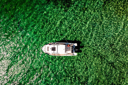 [VBS-DE] Quicksilver 805 Pilothouse photo 24