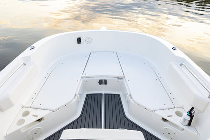 [VBS-DE] Bayliner Trophy T22CC photo 19