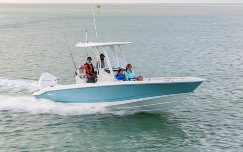 Boston Whaler 250 Dauntless