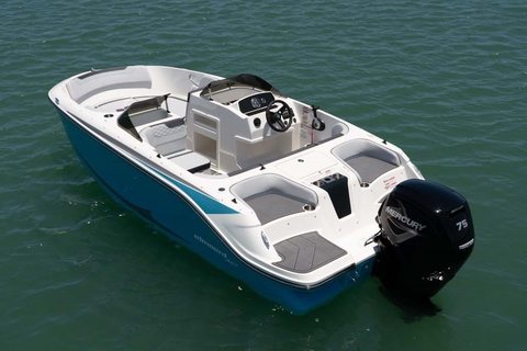 Bayliner Element M17