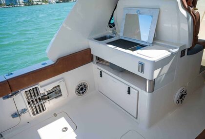 Scout 350 LXZ photo 66