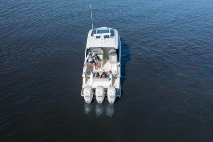 Scout 350 LXZ photo 75